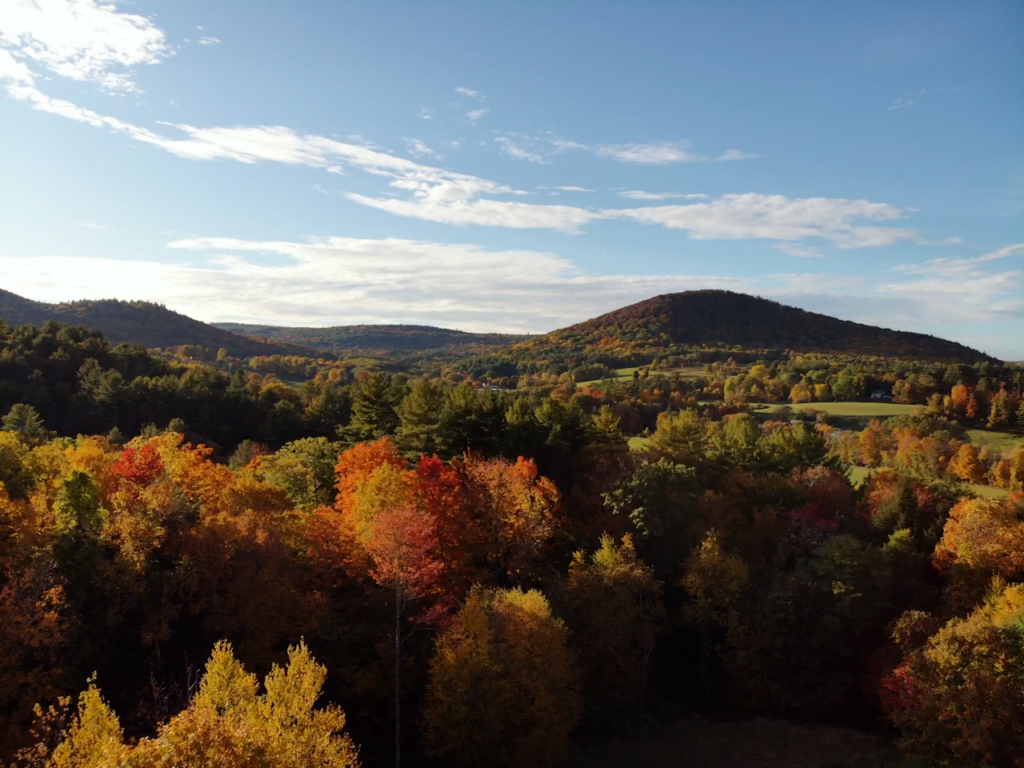 The programs featured image