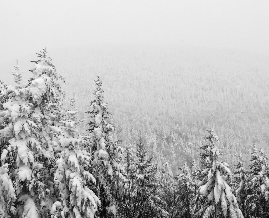 The programs featured image